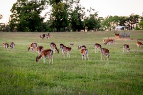 Ferienhof Domane Groschwitz