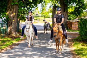 Ferienhof Domane Groschwitz