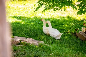 Ferienhof Domane Groschwitz