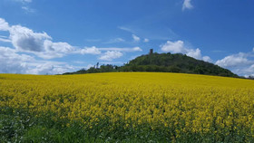 Hotel Wandersleben