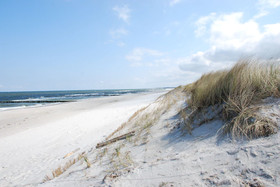 Meeressterne Strandhäuser Blankenfohrt