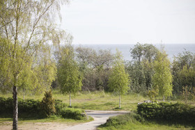 Meeressterne Strandhäuser Blankenfohrt