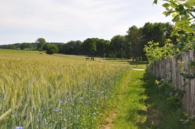 Am Gothensee