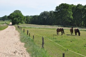 Am Gothensee