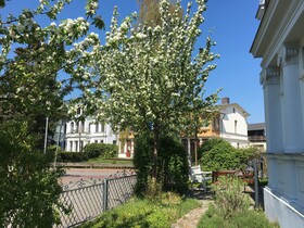Villa Franz