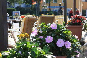 Best Western Hotel Hanse-Kogge