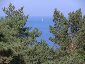 Vineta Hotels