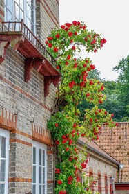 Sommers B&B