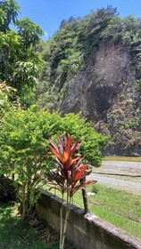 Casa Conrado Guesthouse B&B