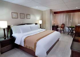 Centro Plaza Hodelpa