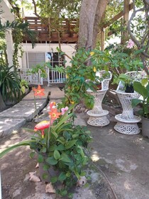 Villa Florencia Bavaro