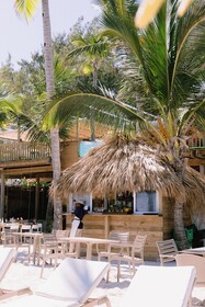 Beach Homes Punta Cana