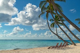 The Westin Puntacana Resort & Club