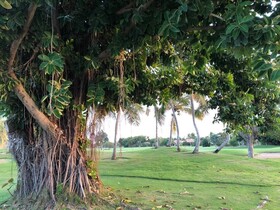 Villa Hermosa 3Bd Cocotal Golf Club