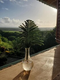 Altos de Caño Hondo