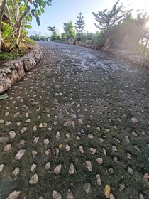 Altos de Caño Hondo