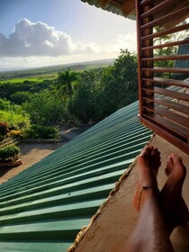 Altos de Caño Hondo