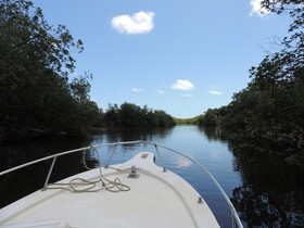 Altos de Caño Hondo