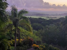 Altos de Caño Hondo