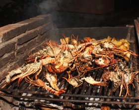 Cabarete Maravilla Eco Lodge & Beach