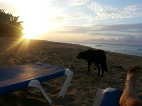 Cabarete Maravilla Eco Lodge & Beach