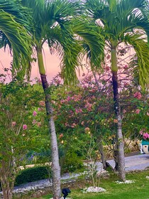 Casablanca Hotel