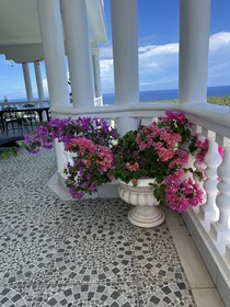 Casablanca Hotel