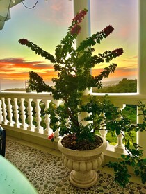Casablanca Hotel