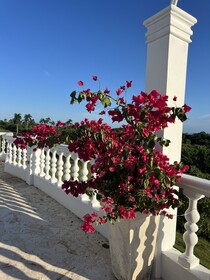 Casablanca Hotel