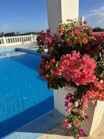 Casablanca Hotel