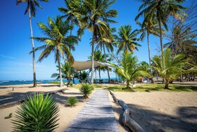 The Palm Bay Club Lodge