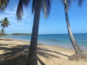 The Palm Bay Club Lodge