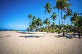 The Palm Bay Club Lodge