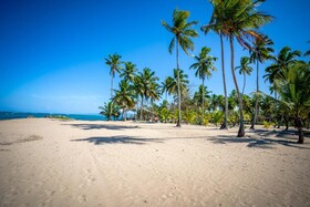 The Palm Bay Club Lodge