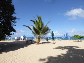 Cortlang