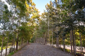 Hacienda La Huerta