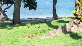 Skylight Suites Restaurant Bar