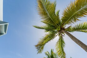 Skylight Suites Restaurant Bar