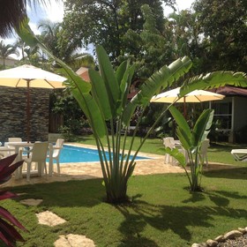 Bungalows Natura Village