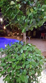 Casa Valeria