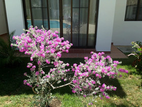 Coral Blanco Hotel