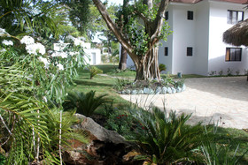 Coral Blanco Hotel