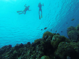 Coral Blanco Hotel