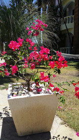 Hotel Voramar Sosua