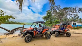 Chalet Tropical Village B&B