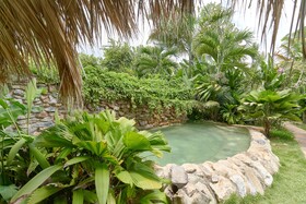 Chalet Tropical Village B&B