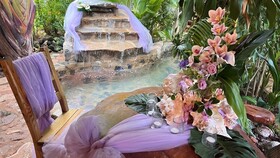 Chalet Tropical Village B&B