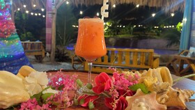 Chalet Tropical Village B&B