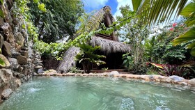 Chalet Tropical Village B&B