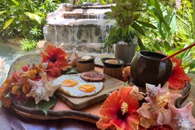 Chalet Tropical Village B&B